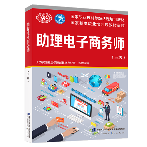 助理电子商务师视角下的电子商务搭建与维护指南